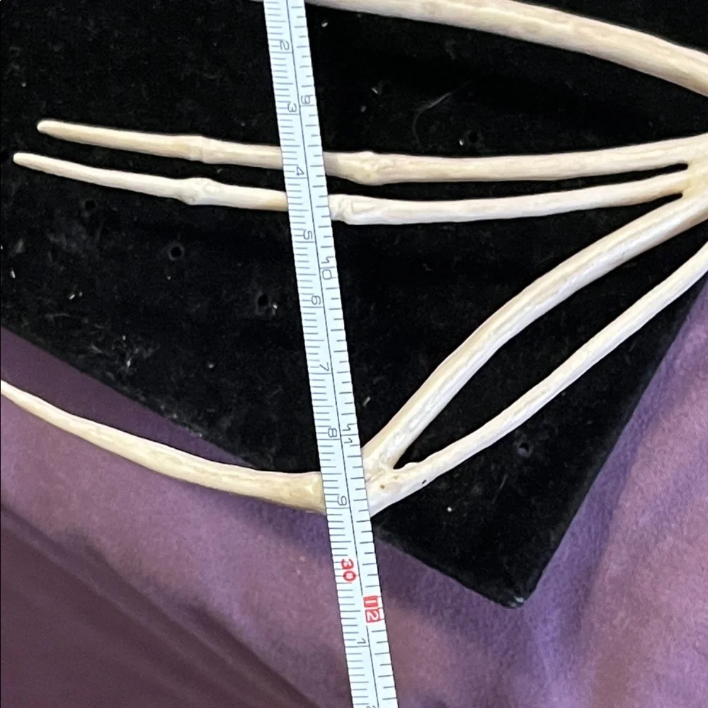 Natural Bat Skeleton Reptile Decor - Cream